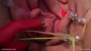 Jessa Rhodes sex vidéos gratuite se prépare à apprivoiser un serpent massif
